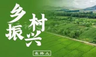 西峡石界河镇：小额信贷 贷出乡村振兴“加速度”