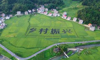 在推进乡村全面振兴中做示范走前列