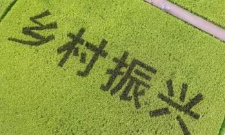 西峡石界河镇：“五个突出”聚合力 乡村振兴谋新篇