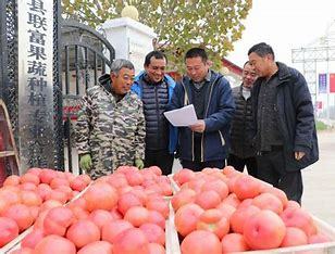 微感受里的改革温度丨产权交易在线上 农村资产“活”起来